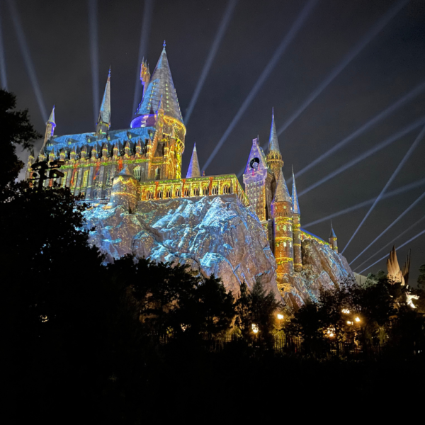 Why is Harry Potter So Popular? – 5 Powerful Reason