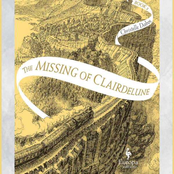 The Mirror Visitor The Missing of Clairdelune Book Review